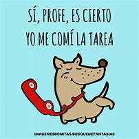 Image result for Frases Chistosas