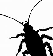 Image result for Roach Silhouette