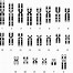 Image result for Chromosome Complement