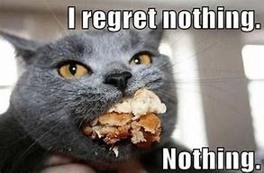 Image result for Cat with Food Meme