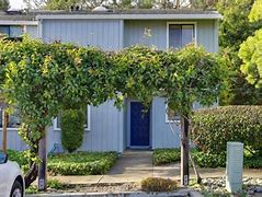 Image result for 174 W. Cliff Dr., Santa Cruz, CA 95060 United States