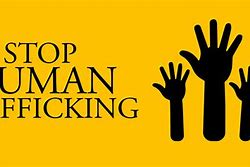 Image result for Human Trafficking Hotline Stickers