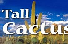 Image result for Tall Cactus