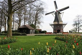 Image result for Keukenhof Windmills