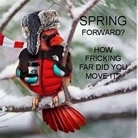 Image result for Spring Funny Winter Memes