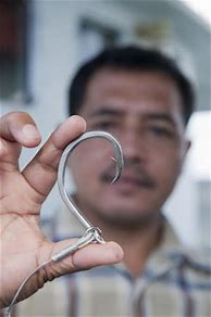 Image result for Heavy Duty C Hooks