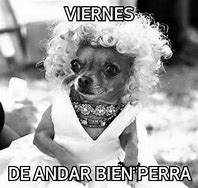 Image result for Chihuahua Lady Birthday Meme