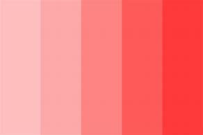 Image result for Rose Color RGB