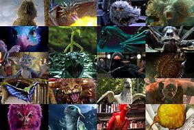 Image result for Magical Creatures Hogwarts