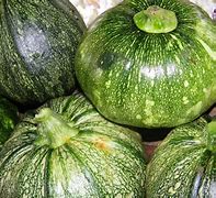 Image result for Calabaza