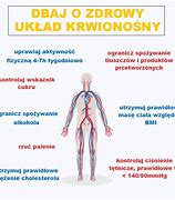 Image result for choroby_układu_krążenia