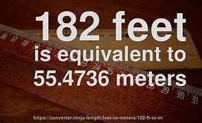 Image result for How Long Is 20 Meters