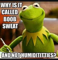 Image result for Kermit Jokes