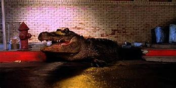 Image result for Scary Alligator