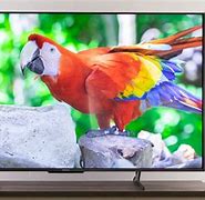 Image result for World's Largest TV