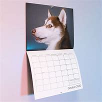 Image result for Homemade Dog Calendar
