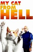 Image result for My Cat From Hell Pink Car