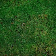 Image result for 5000 Square Foot Lawn
