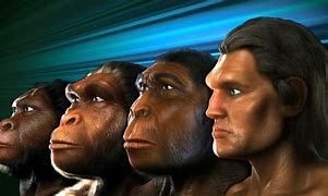 Image result for All Human Ancestors