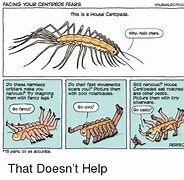 Image result for House Centipede Meme