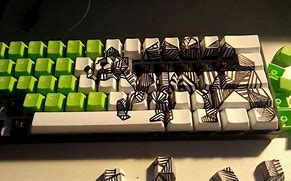 Image result for Bear Smashing Keyboard
