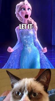 Image result for Frozen Grumpy Cat Memes