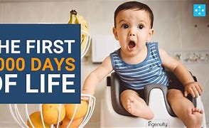 Image result for First 1000 Days Book