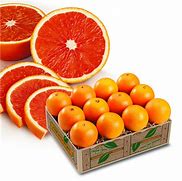 Image result for Bag of Florida Oranges
