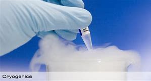 Image result for cryogenics