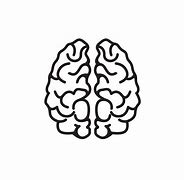 Image result for Brain Vector Art