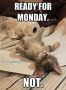 Image result for Wacky Monday MEME Funny