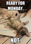 Image result for Funny Monday Cat Memes