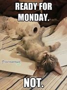 Image result for Cute Cat Monday Meme