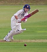 Image result for Playing Cricket