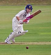 Image result for Someone Playing Cricket