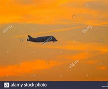 Image result for Airbus A300 Beluga XL