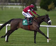 Image result for Small Horse Jockey