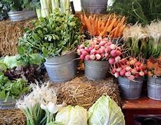 Image result for Farmers Market Items