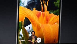 Image result for iPhone 7 Camera Pic