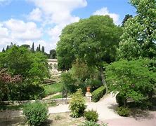 Image result for Montpellier Botanical Garden