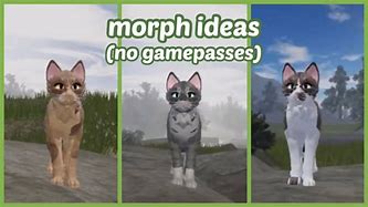 Image result for Morph Ideas No GPS