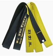 Image result for Kids Karate Belts