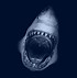 Image result for Great White Shark 4K