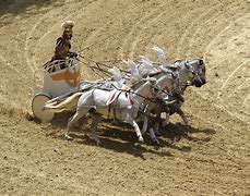 Image result for Chariot Racing in the Colosseum