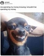 Image result for Screaming Chihuahua Meme