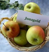 Image result for Golden Delicious Apple