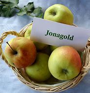 Image result for Jonathan Gold Apple's