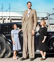 Image result for What Is the Biggest Person in the World