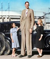 Image result for Biggest Person Ever