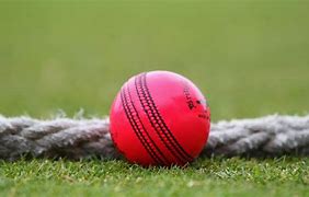 Image result for SwingBall Cricket